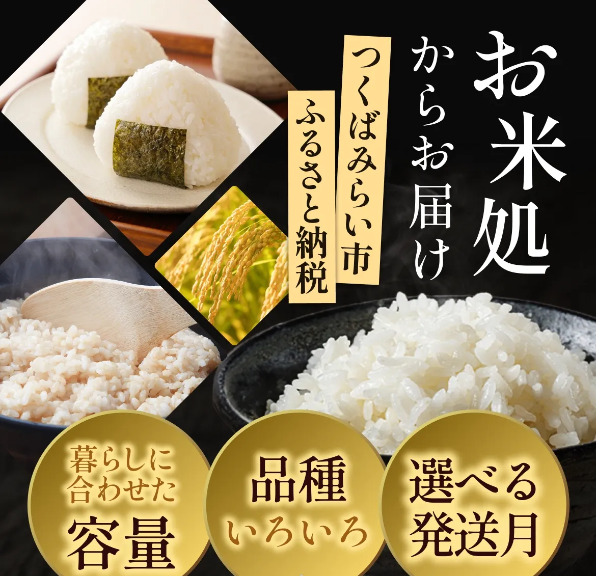 お米処からお届け つくばみらい市ふるさと納税 暮らしに合わせた容量・品種いろいろ・ポスト投函対応品あり おかげさまで楽天ランキング米・雑穀1位