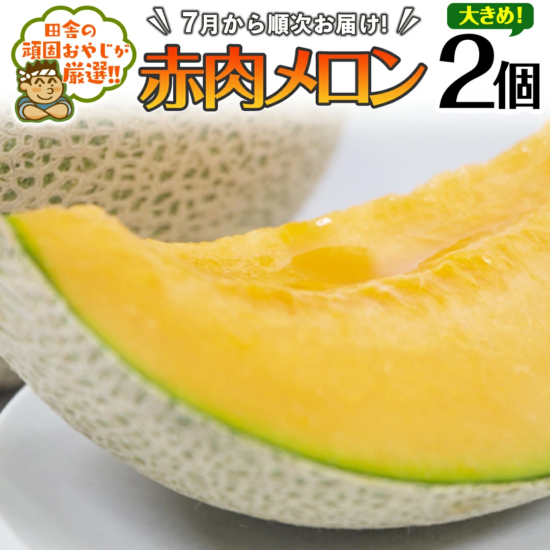 大きめ 赤肉 メロン 2個【7月発送開始】田舎の頑固おやじが厳選！