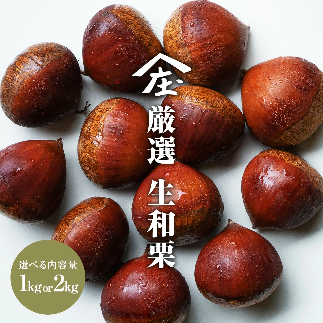 ＼選べる内容量／ 厳選 生和栗 1kg or 2kg【庄七農園】