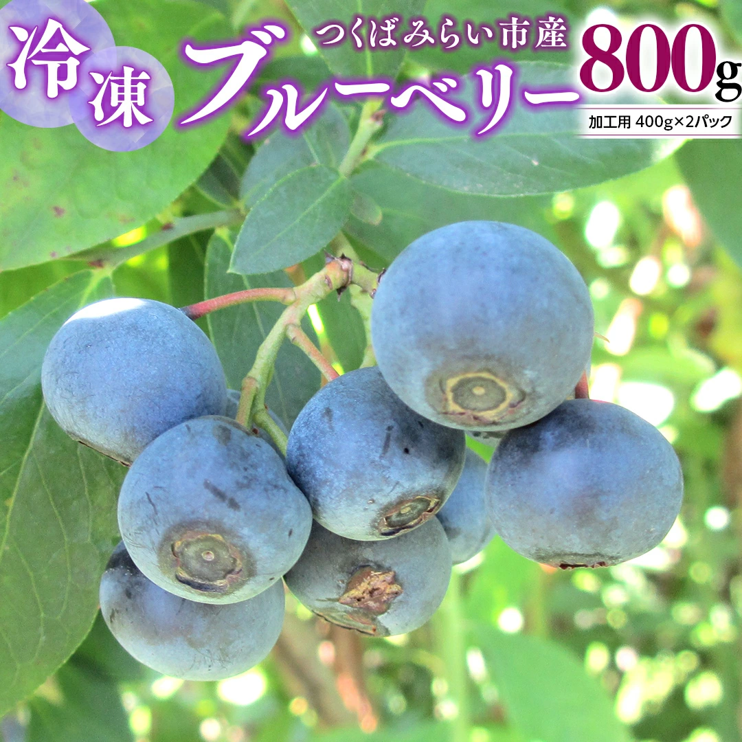 つくばみらい市 産 冷凍 ブルーベリー 800g ( 400g ×2パック )