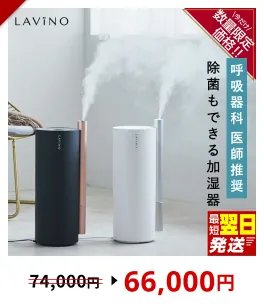 ＼ 年末期間限定価格！／ ＼12時までのご寄附で最短翌日お届け!／LAVINO エアリファイ ハイブリッド加湿器（ブラック／ホワイト）