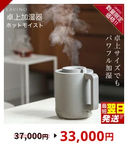 ＼ 年末期間限定価格！／ ＼12時までのご寄附で最短翌日お届け!／LAVINO ホットモイスト