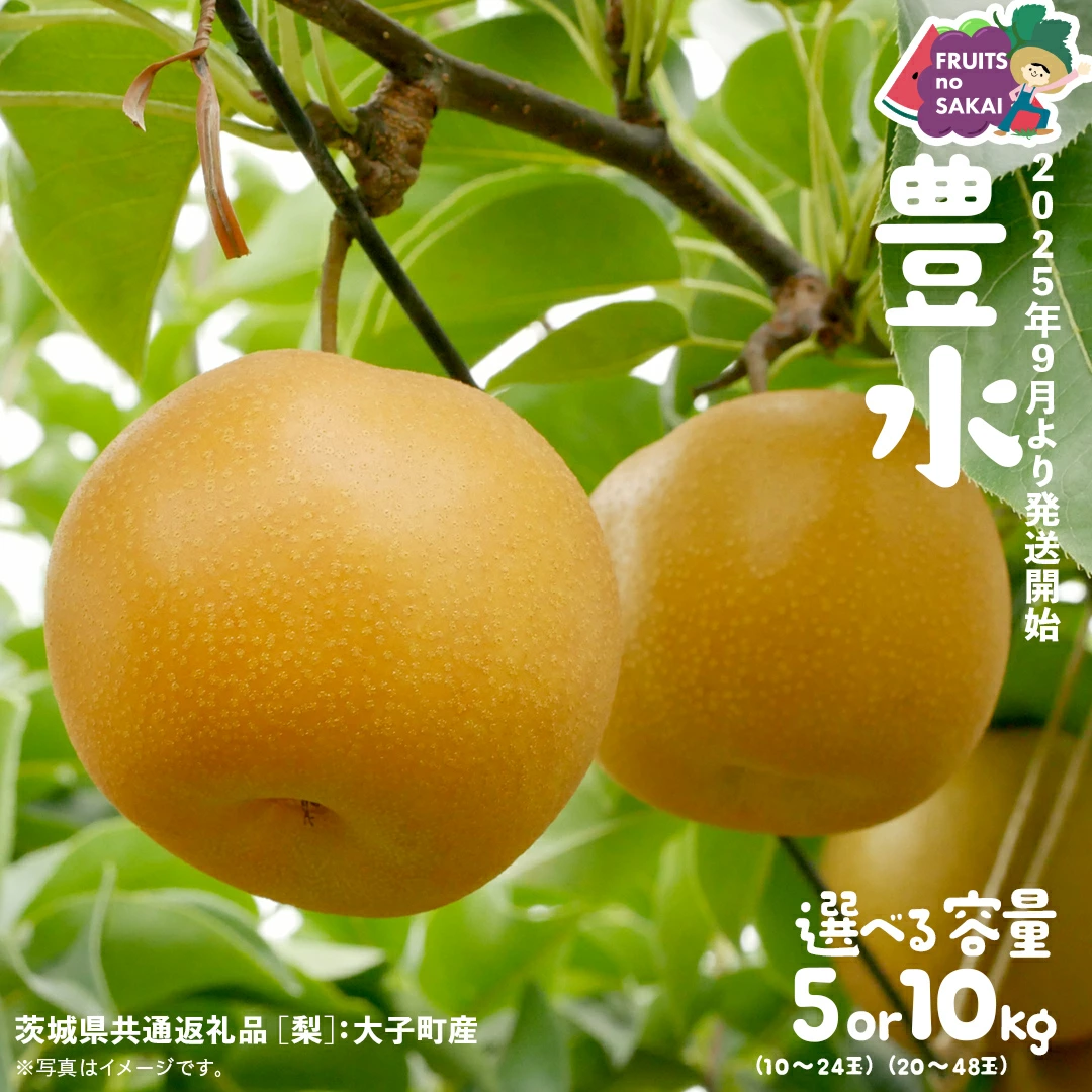 豊水 梨 5kg （10～24玉）/ 10kg （20～48玉）
