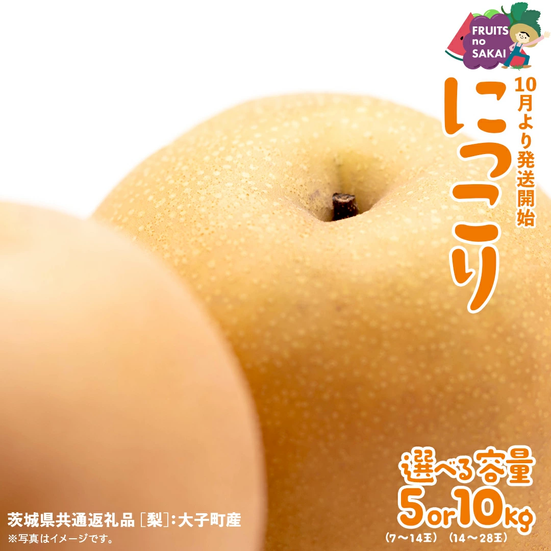 にっこり 梨 5kg （7～14玉）/ 10kg （14～28玉）【2025年10月より発送開始】（茨城県共通返礼品 [梨]：大子町産）